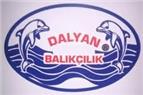 Dalyan Balıkçılık  - Düzce